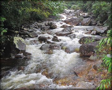 Mapalana Ella, a captivating cascade of water