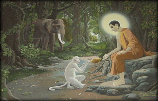 Buddhism encourages mutual respect for all religions